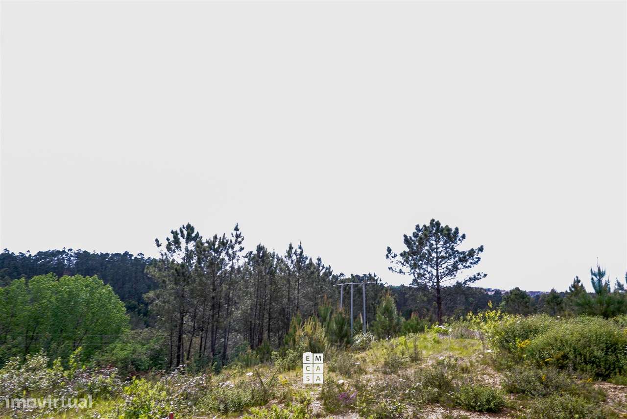 Terreno Urbano  Venda em Nogueira do Cravo e Pindelo,Oliveira de Azemé-8