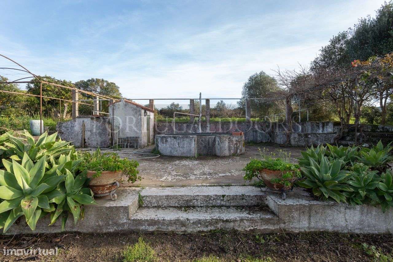 Quinta 5Ha em Azeitão-9