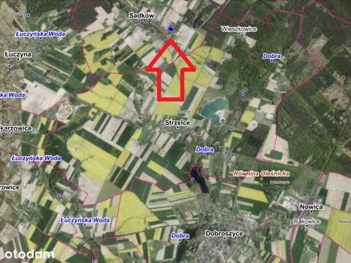 Działka wśród zieleni - Pełny obrazek: 5/6