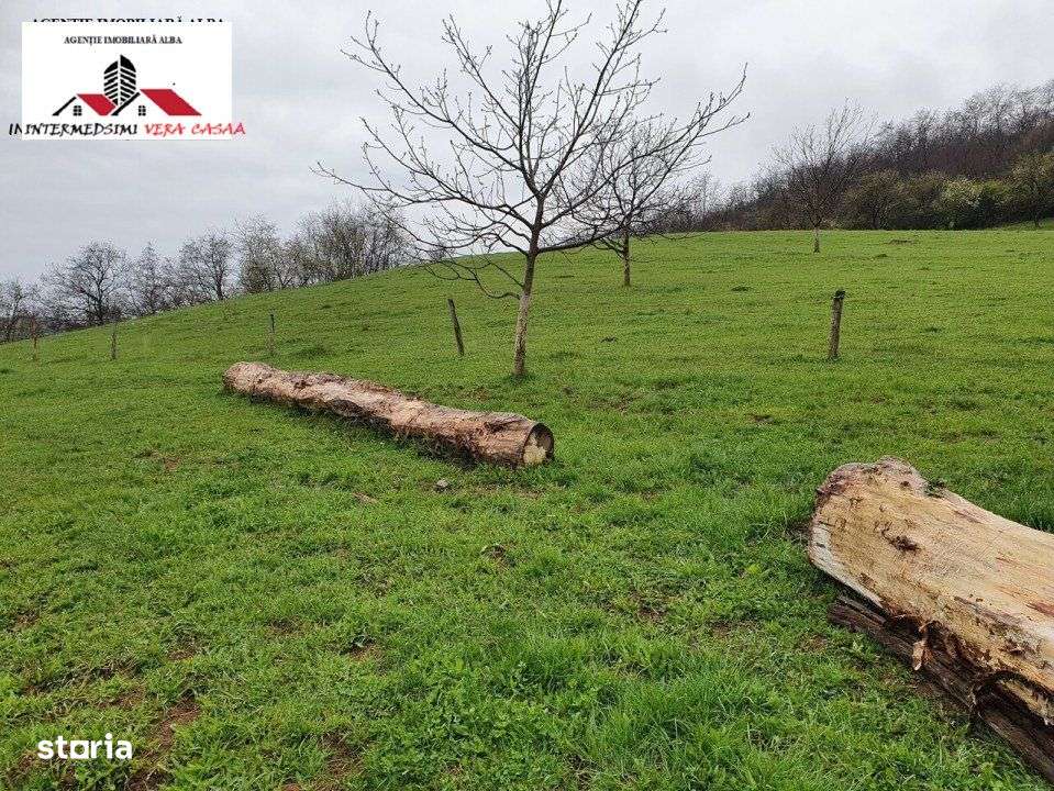 Teren de vanzare 33 de hectare Inuri Jud Alba - Imagine principală: 4/15