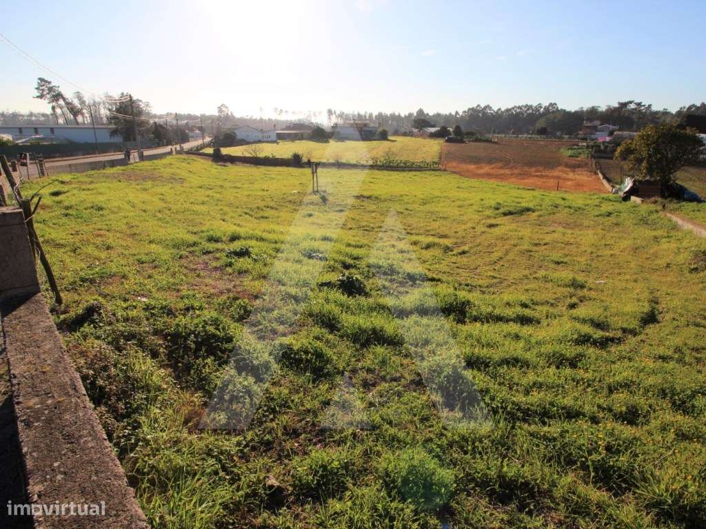 Terreno com 6 lotes para construção de moradias - Grande imagem: 4/7