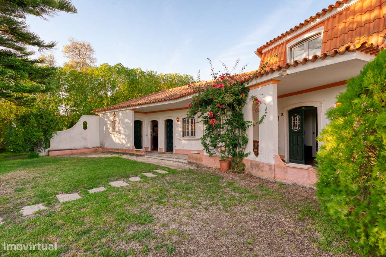 Quinta T3+3, Cartaxo-28