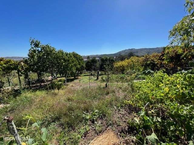 Excelente Moradia c/Piscina, Ringue desportivo, Garagem-56