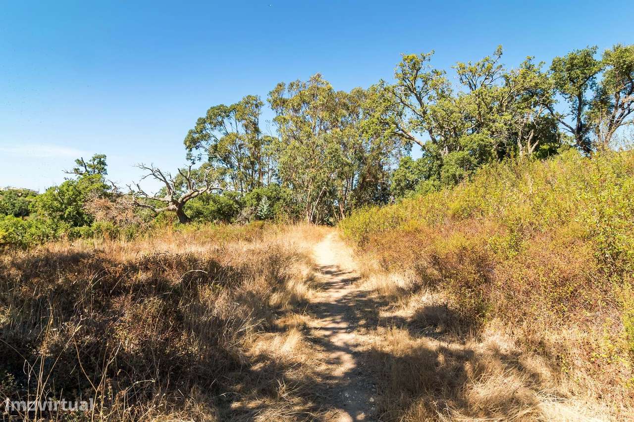 Terreno urbano em São Sebastião (Setúbal) com 17000m2-26