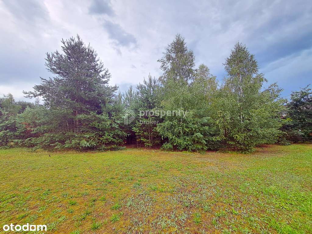 Działka inwestycyjna 4800 m2 z domem BEZ PROWIZJI-1