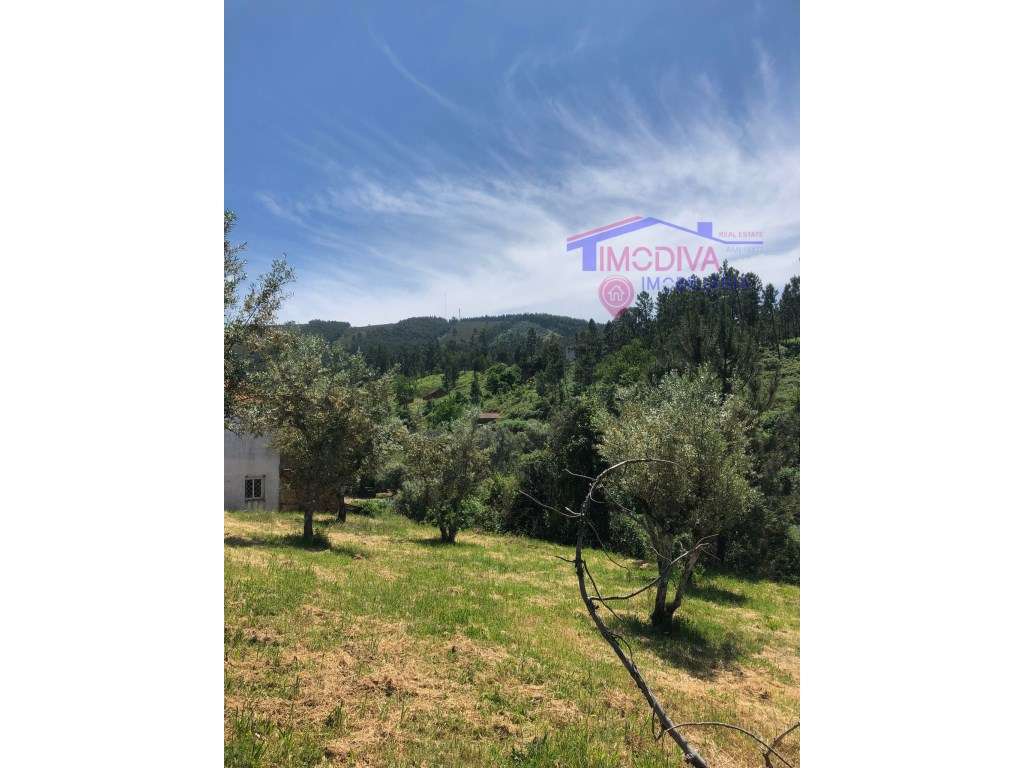 Terreno Rústico com uma área total de 22800m2. - Grande imagem: 4/13