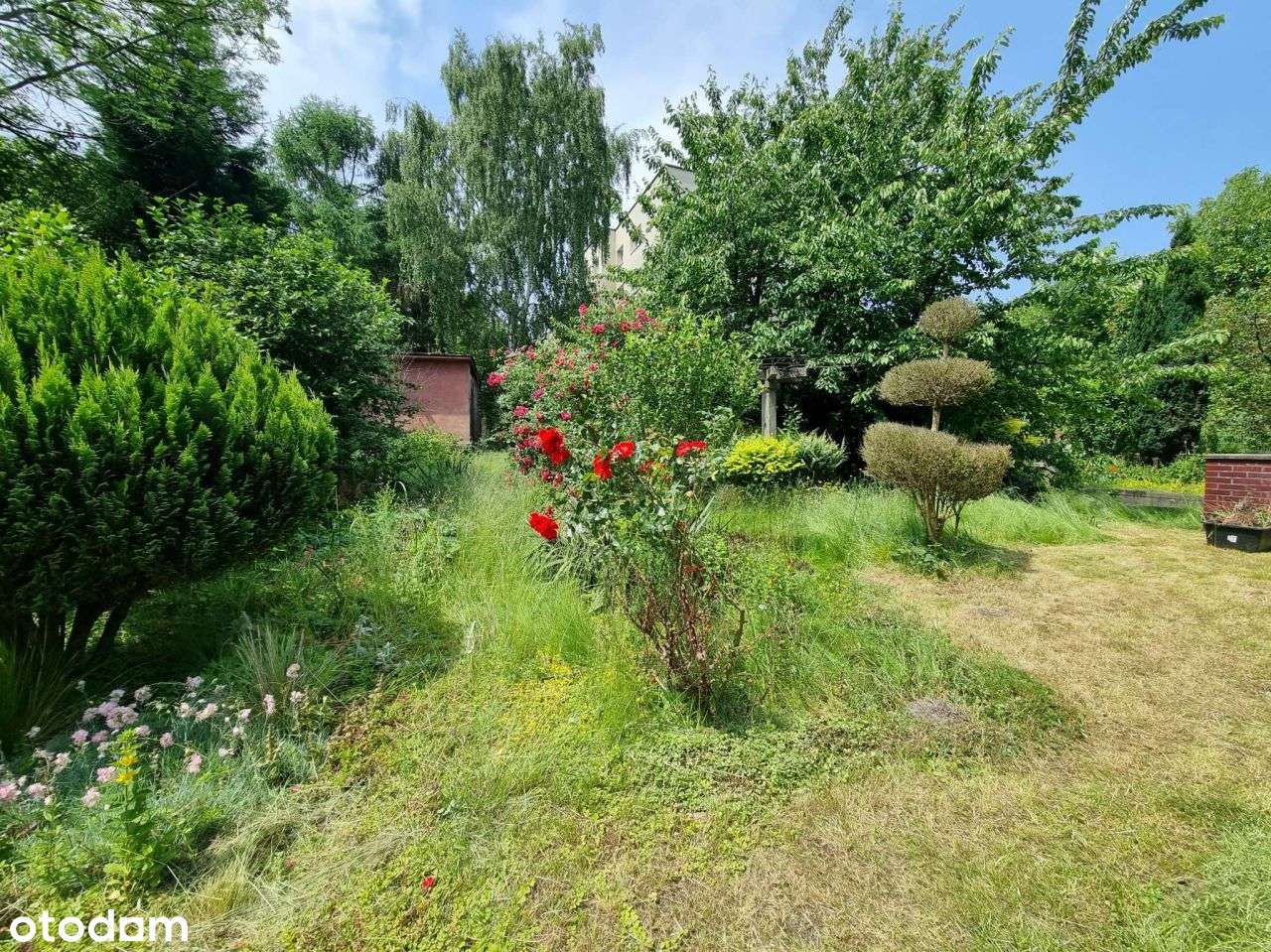 Piękna willa z dużą działką w samym centrum!-3