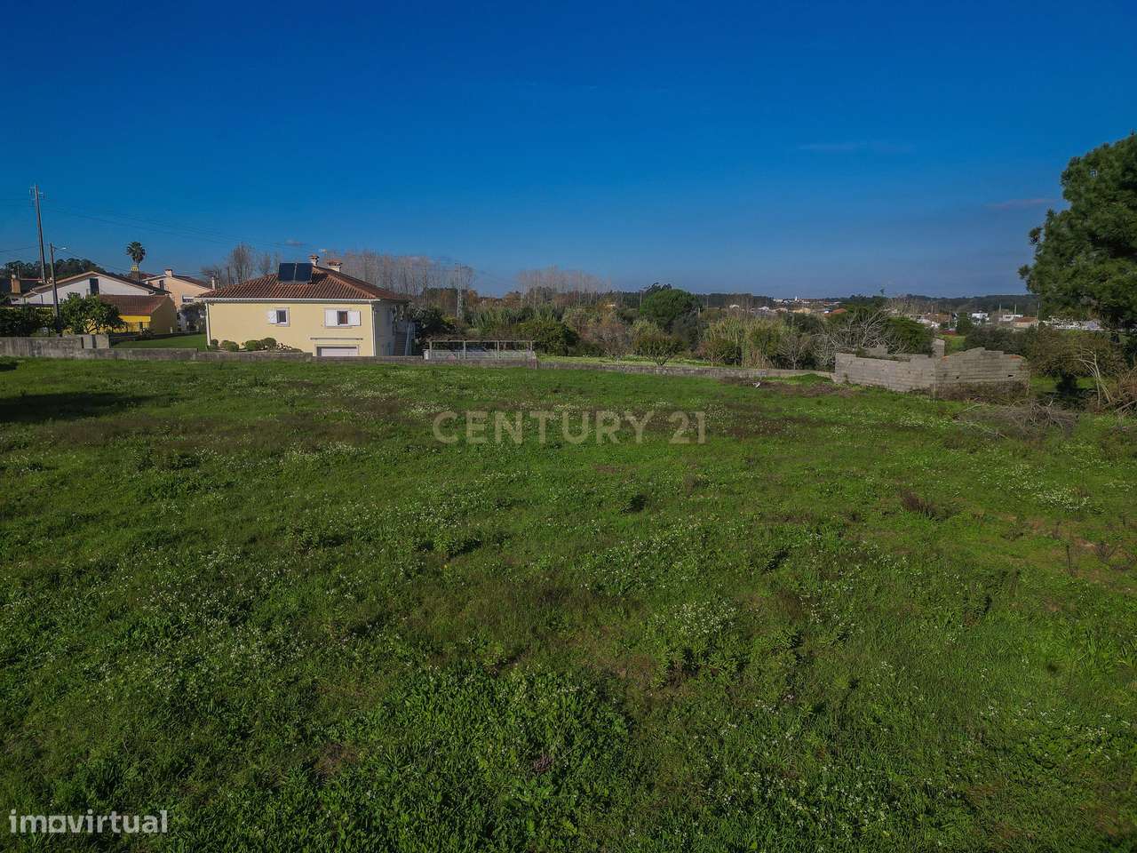 Terreno Agrícola em Montemor o Velho - Oportunidade Única-20