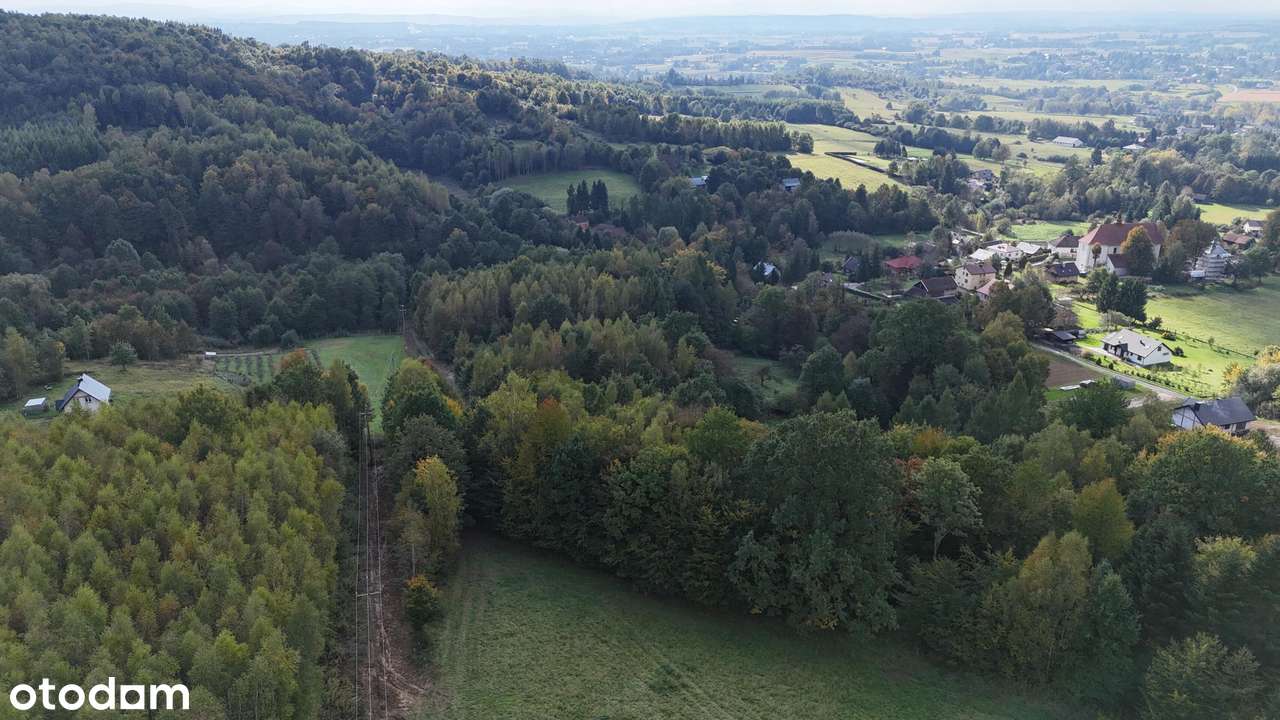 Łączki Jagiellońskie, siedlisko w malowniczym otoczeniu lasu i natury-7