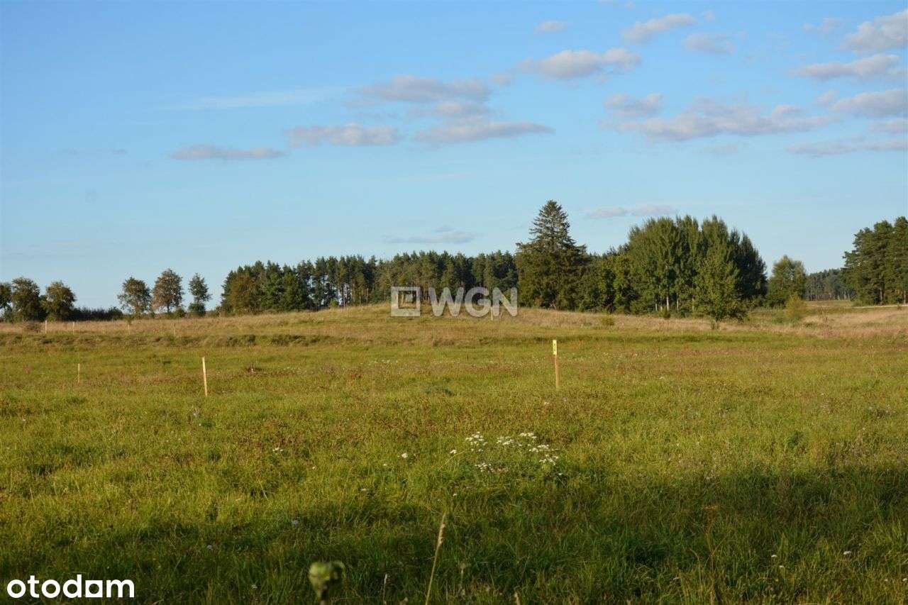 Zawady Ełckie, gm. Stare Juchy. - Pełny obrazek: 4/11