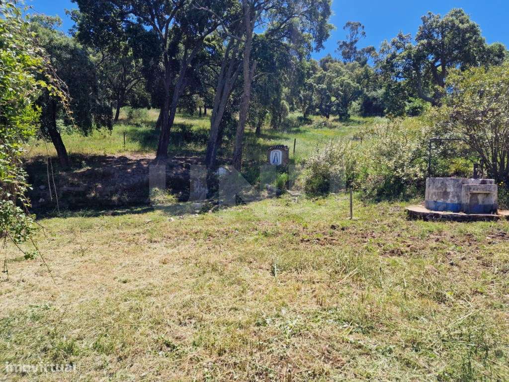 Quinta Serra d´Ossa com 6 habitações-25