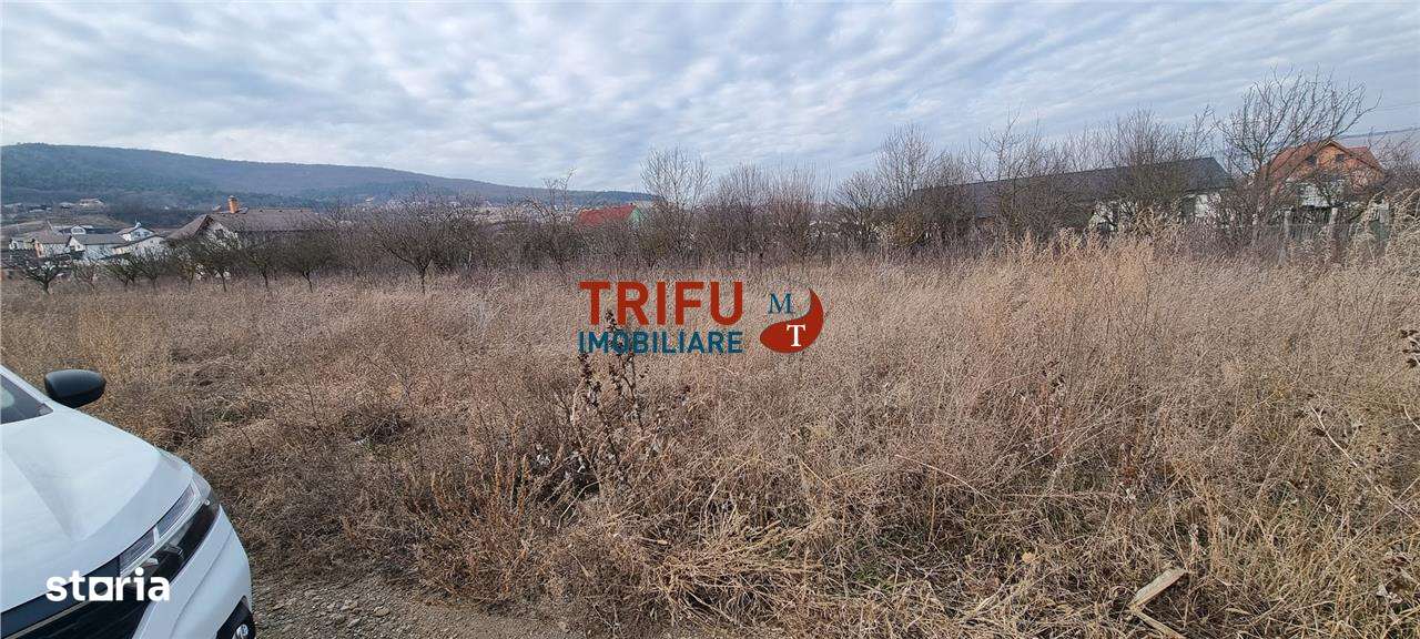 Teren intravilan 350 mp de vanzare Alba Micesti cu toate utilitatile - Imagine principală: 5/5