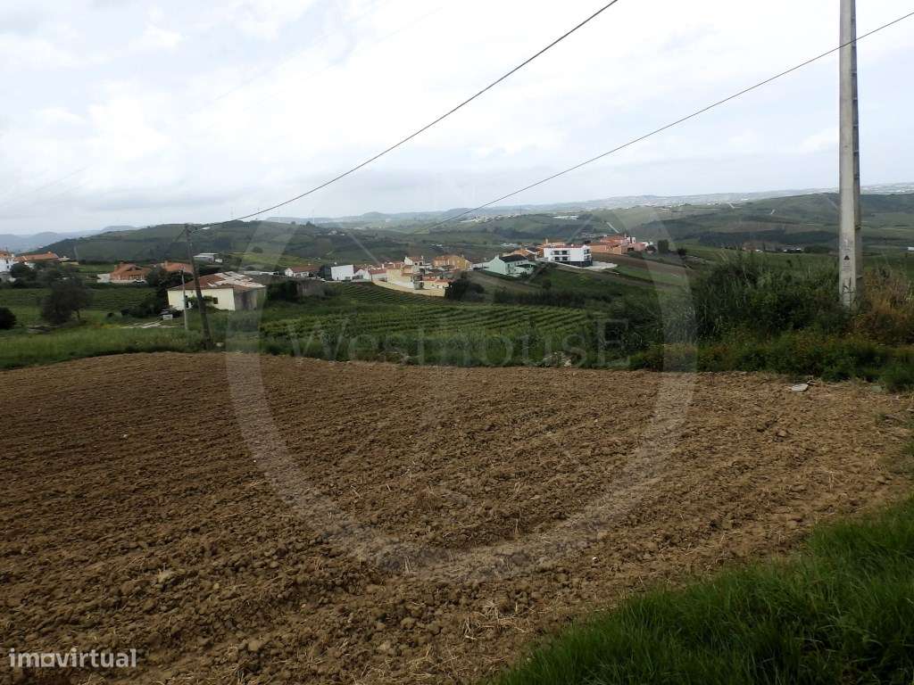 Terreno rústico com 5.129m2 no Varatojo, Torres Vedras, com grande ...-10