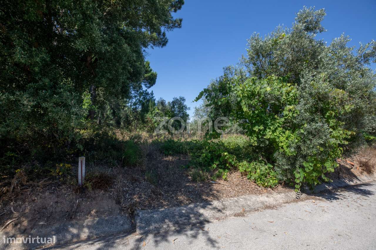 Terreno Rústico São Facundo - Coimbra - Grande imagem: 4/19