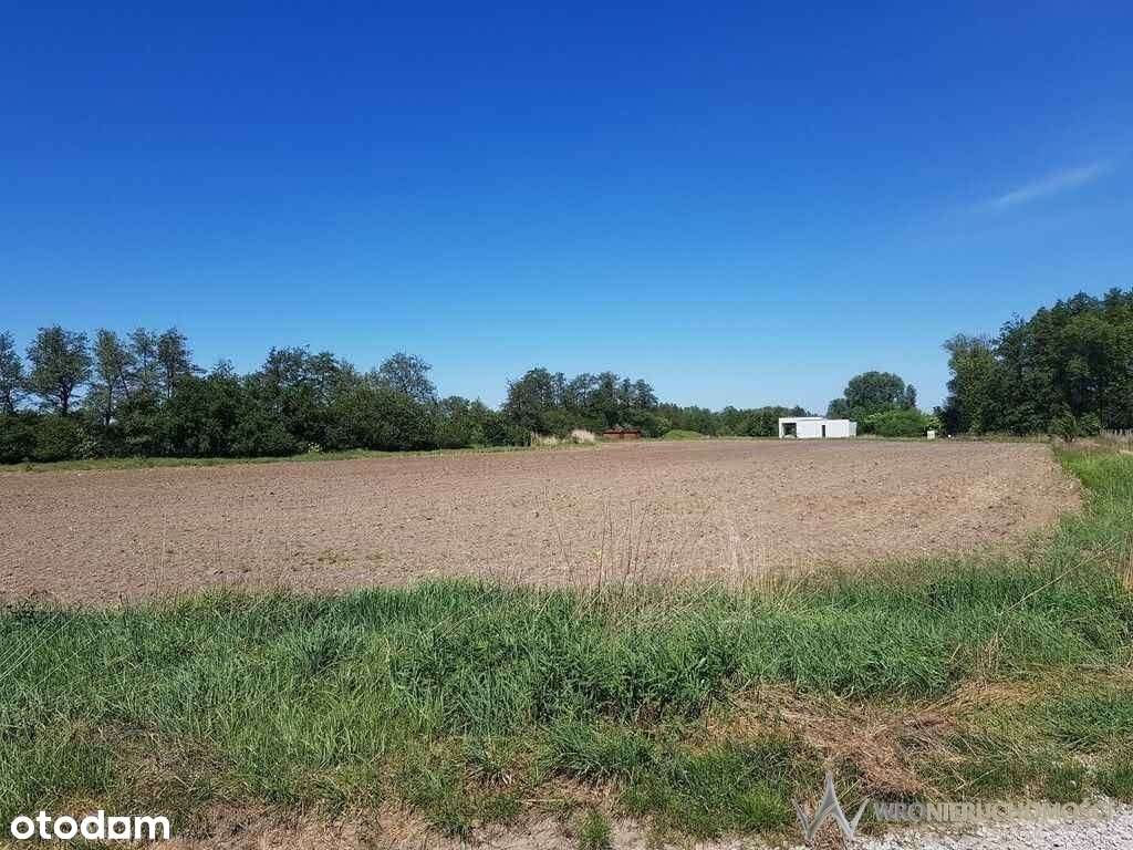 Działka | atrakcyjna | spokojna okolica | las | - Pełny obrazek: 4/9