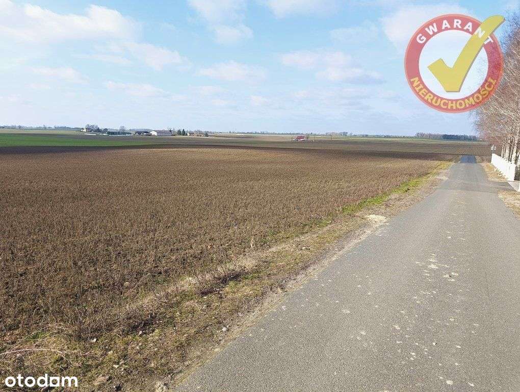 Działka W Dźwierznie 4495 M2 Blisko Chełmży !!! - Pełny obrazek: 4/5