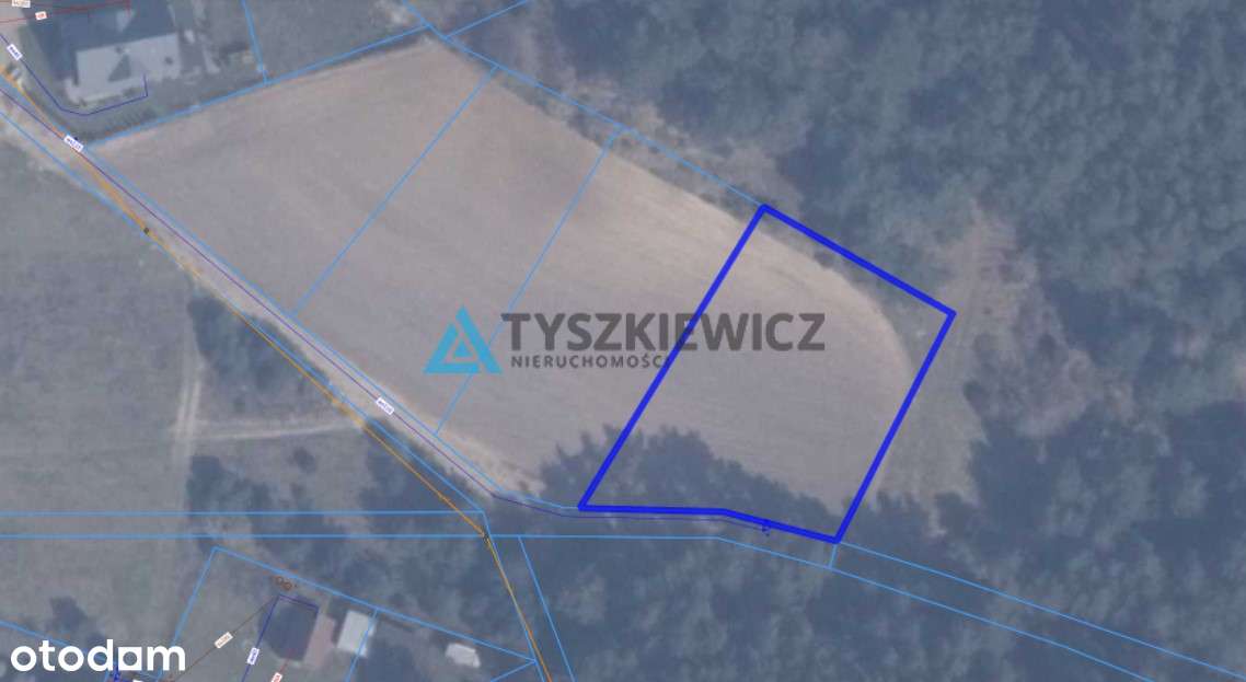 Działki w Ostrowie z wydanymi WZ - Pełny obrazek: 5/17