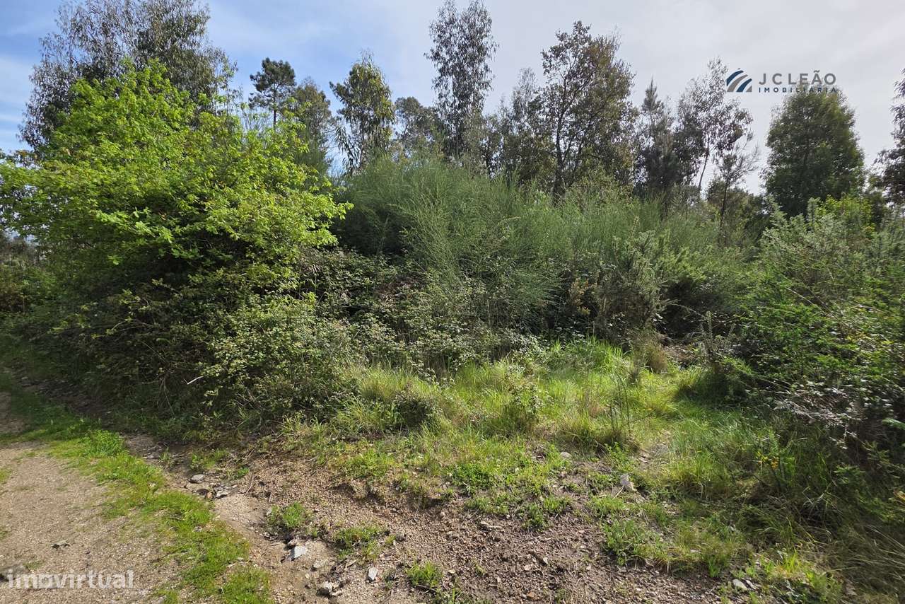 Terreno construção c/ 4000m2 Paços de Sousa, Penafiel - Grande imagem: 4/28