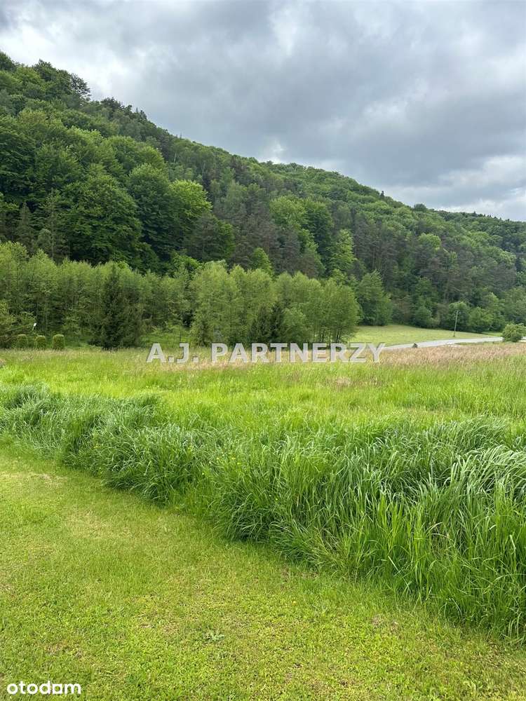 Działka budowlana 31 ar koło Łapanowa-6