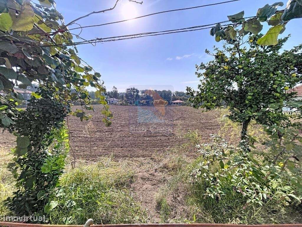 Venda Terreno - Grande imagem: 5/5