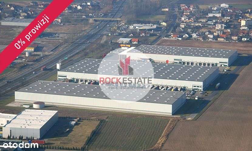 Magazyn na wynajem 1600 m2 Poznań - 0% prowizji - Pełny obrazek: 5/6