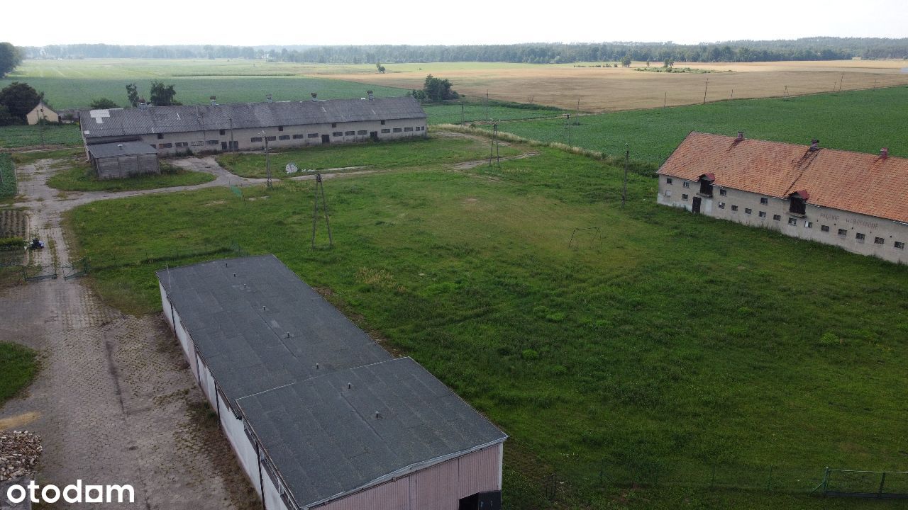 Orlinek/hale 4091m2 /działka 20584m2/ogrodzona