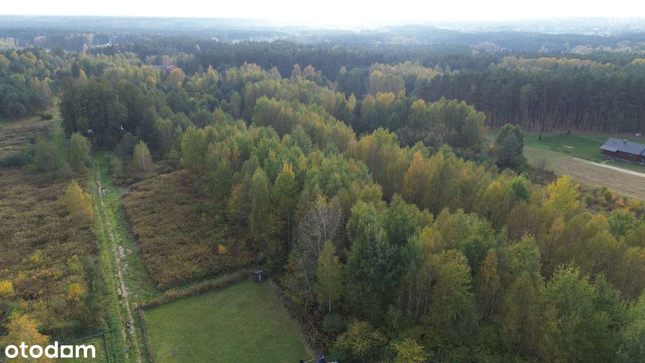 Działka komercyjna 7779 m² w cichej okolicy-8