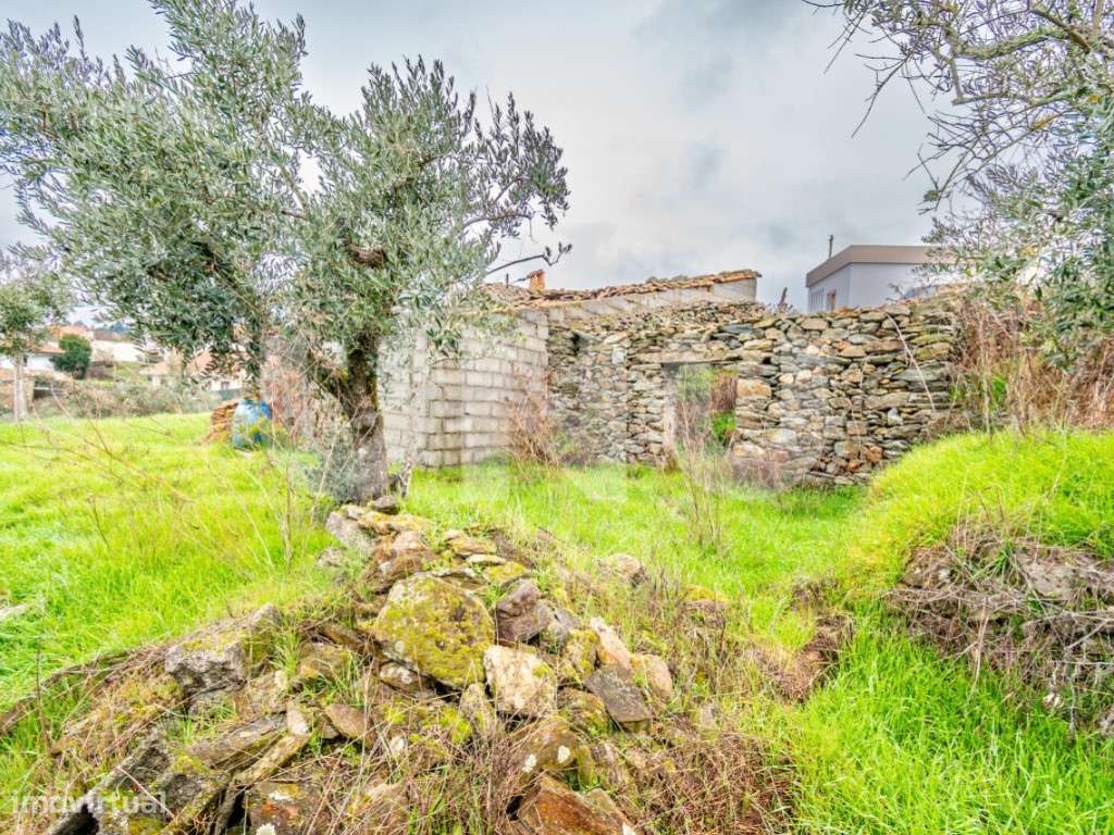 Terreno Urbano com Ruína | 2.748 m² | Vila do Barco - Covilhã - Grande imagem: 5/14
