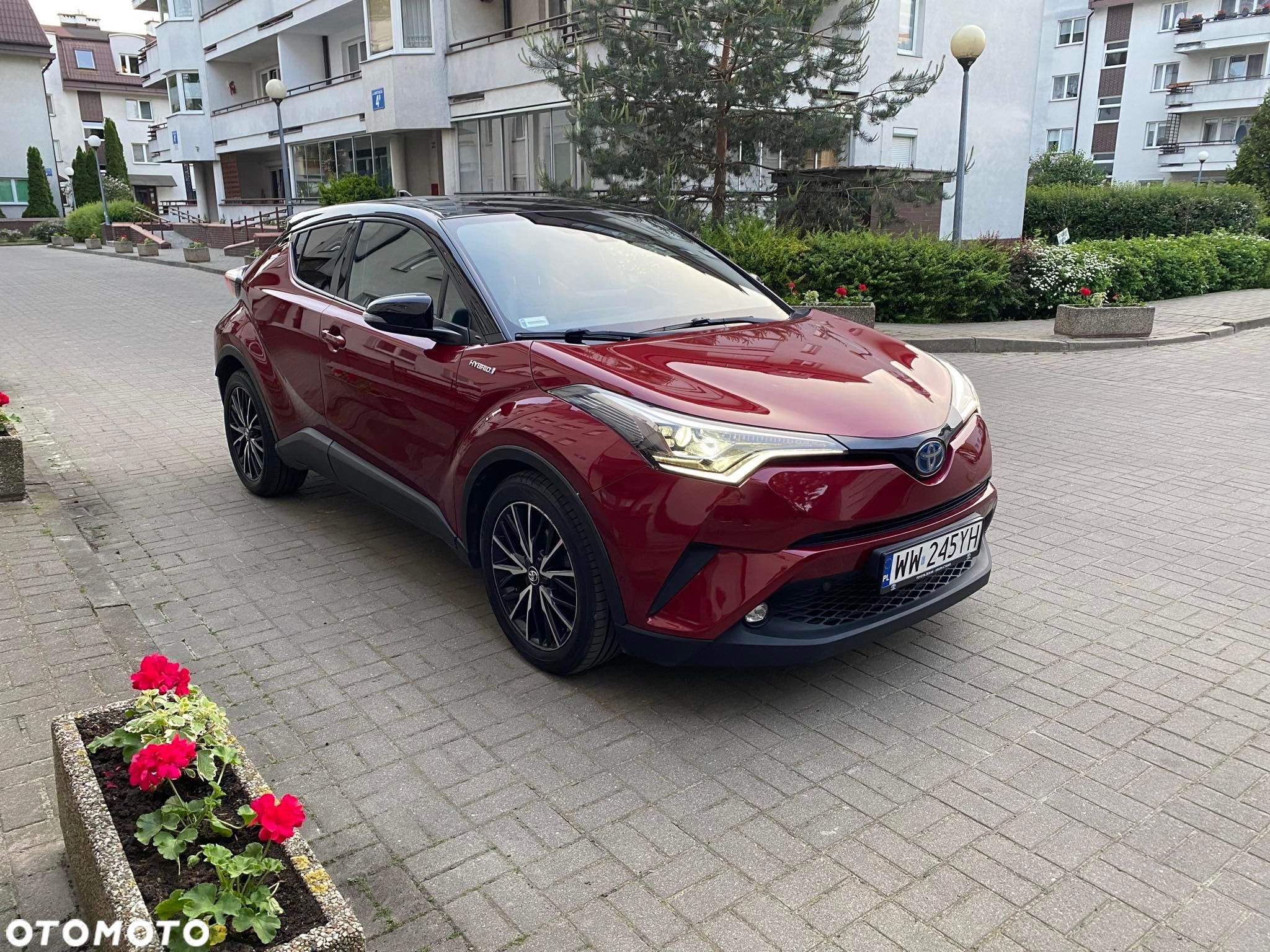 Toyota C-HR - 1