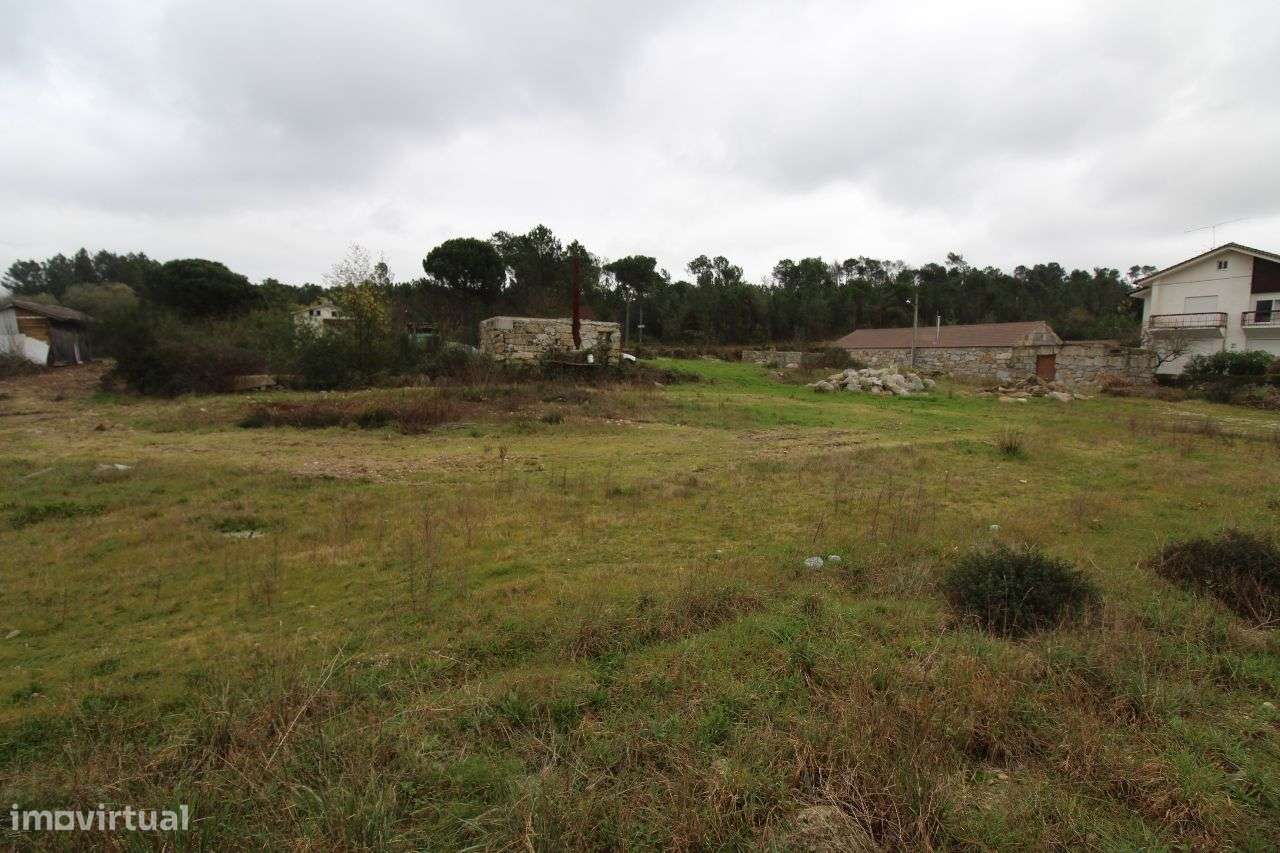 Terreno na Estrada Nacional - Grande imagem: 4/11