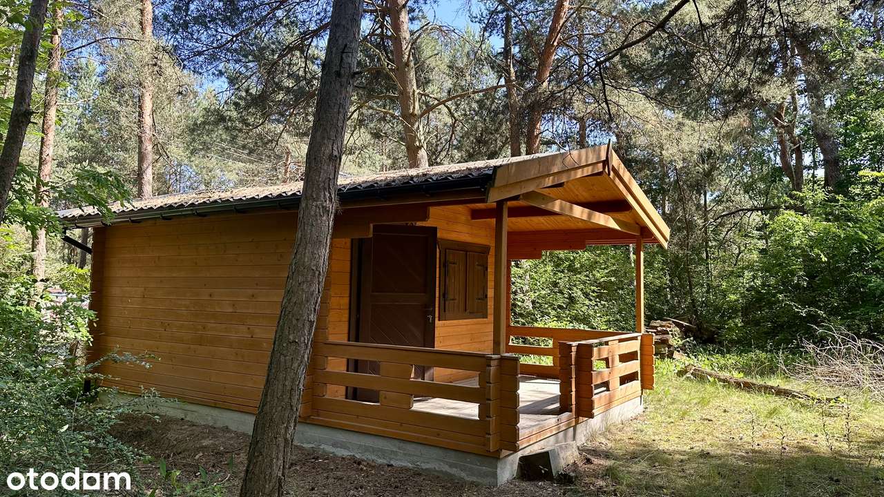 Piękna działka w środku lasu niedaleko Narwii - Pełny obrazek: 4/12