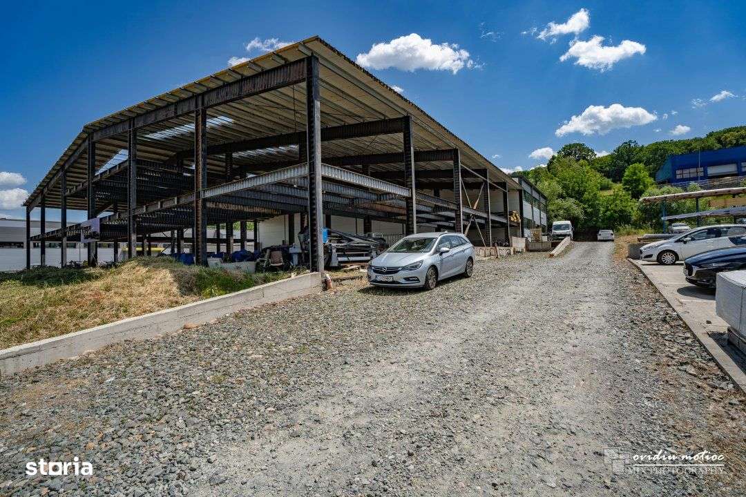 Hale in parcul Tetarom I-11