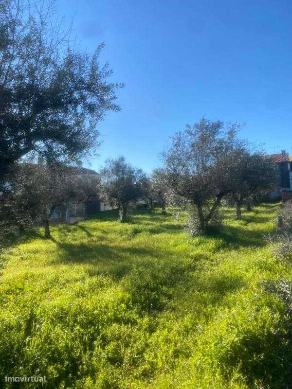 Terreno - Grande imagem: 3/5