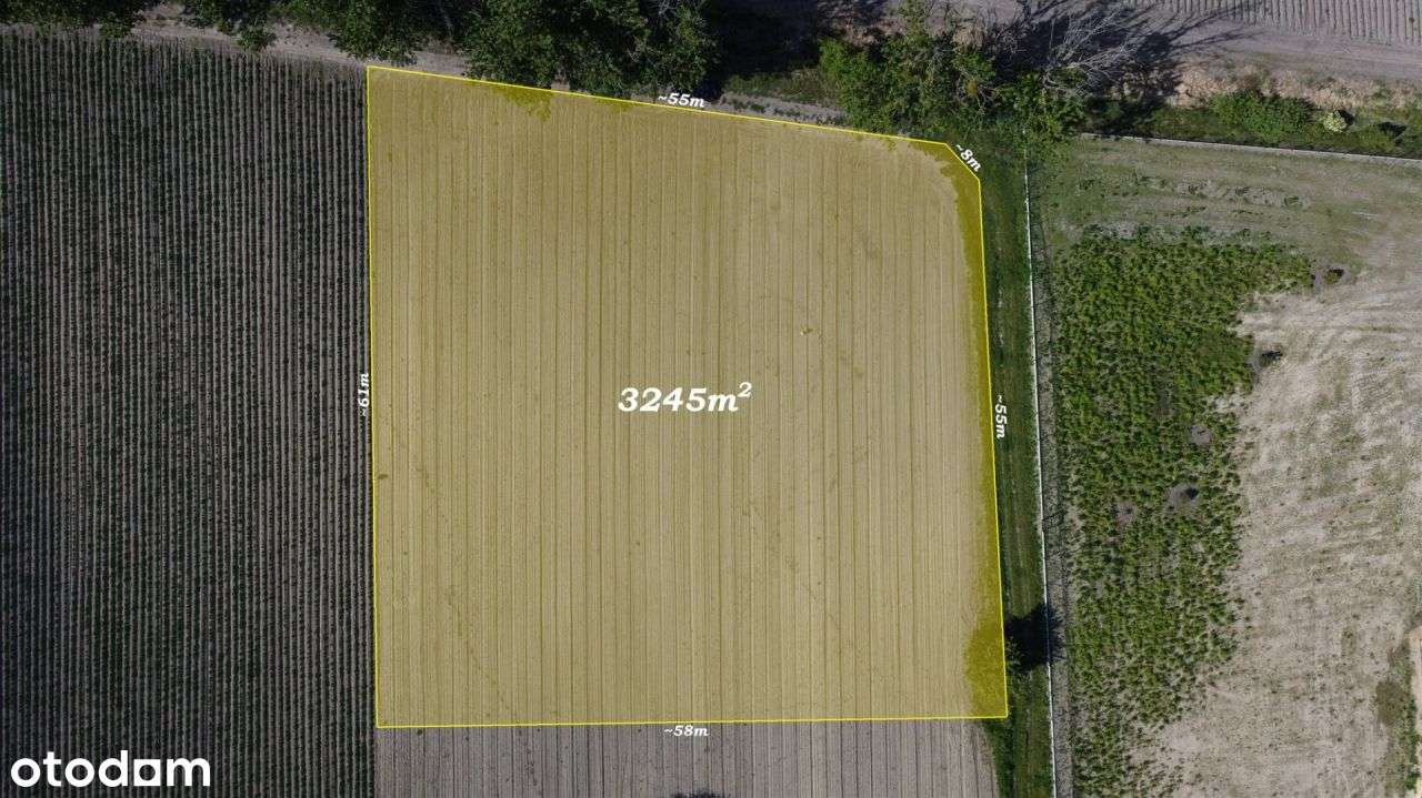 3245 m2 swobody życia - cisza , zieleń , potencjał - Pełny obrazek: 4/12