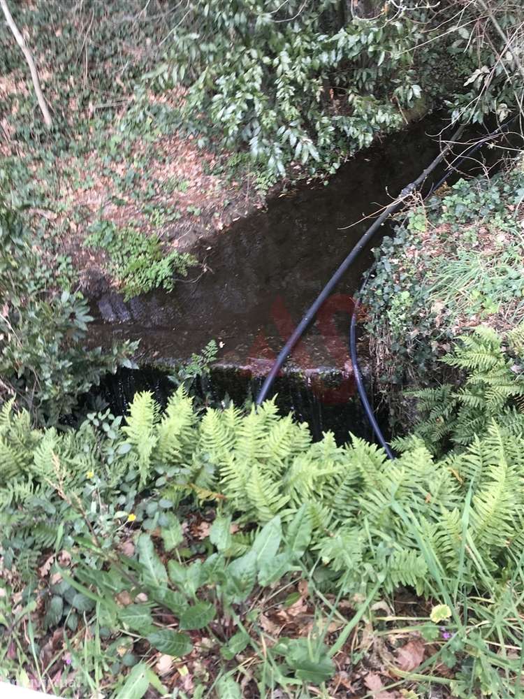 Terreno para agricultura com 10.090m2 em Soalhães, Marco de Canaveses. - Grande imagem: 4/4