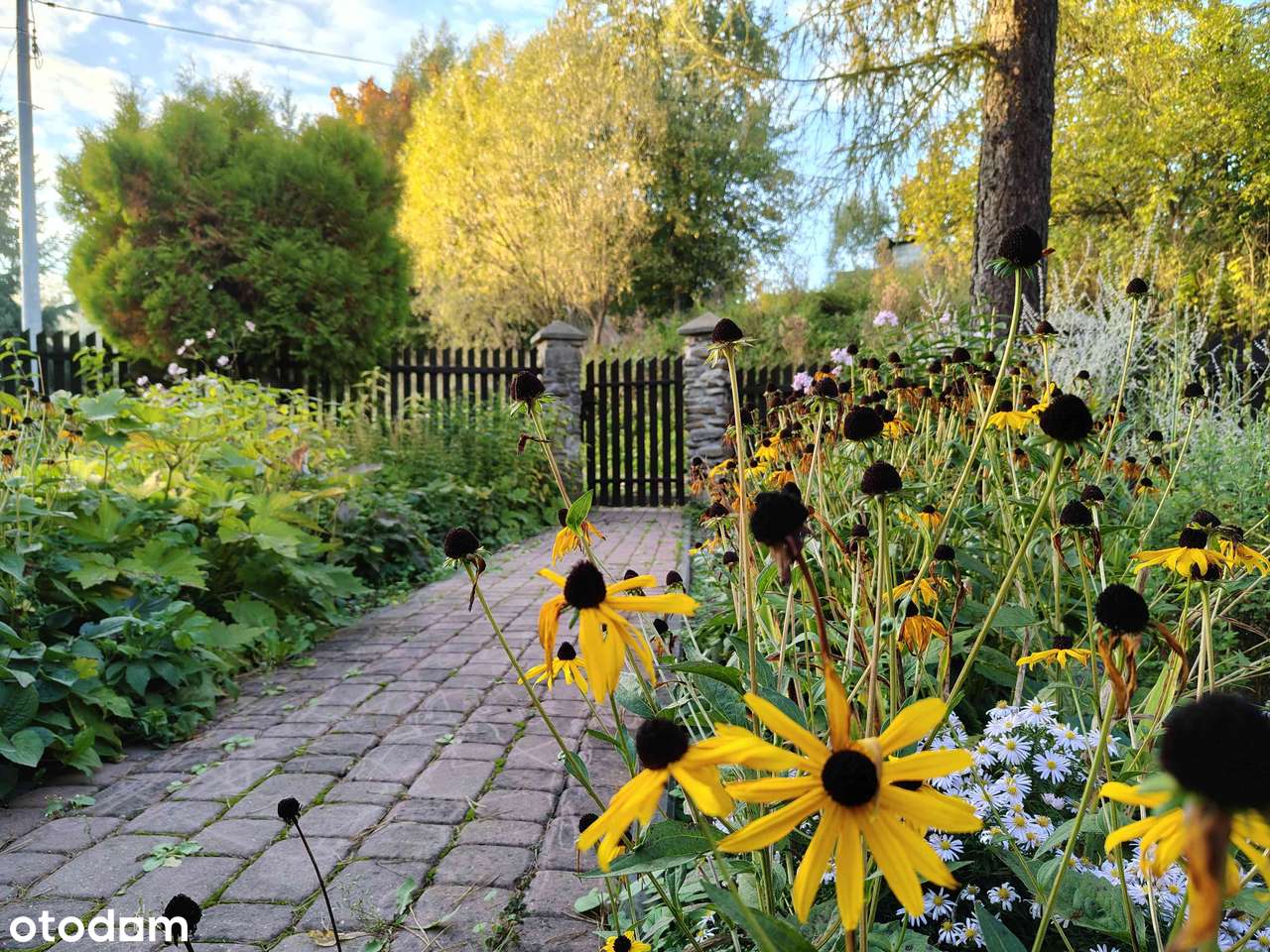 Dom do zamieszkania pod lasem, z dostępem do potoku!-3