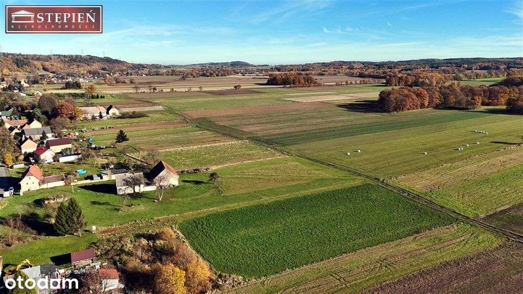 Działka, 5 454 m², Zbylutów - Pełny obrazek: 5/10