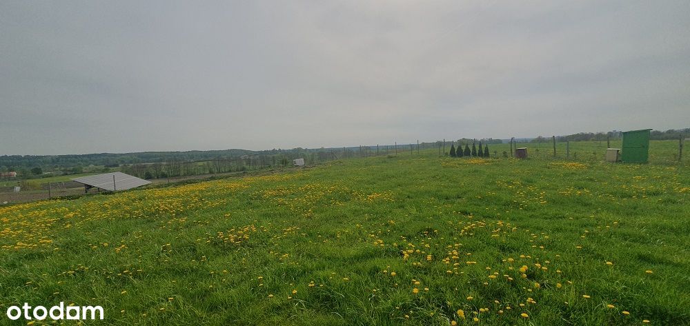 Działka budowlana w Praslitach