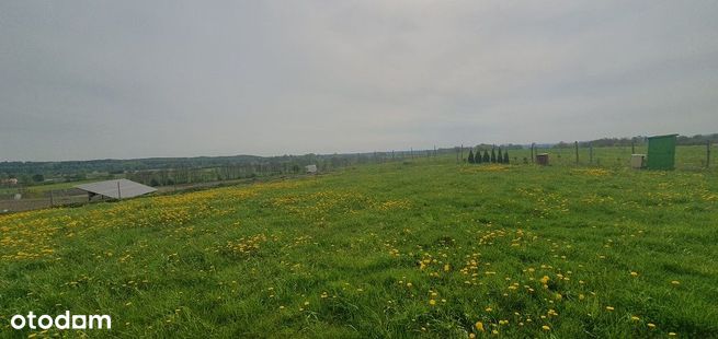 Działka budowlana w Praslitach