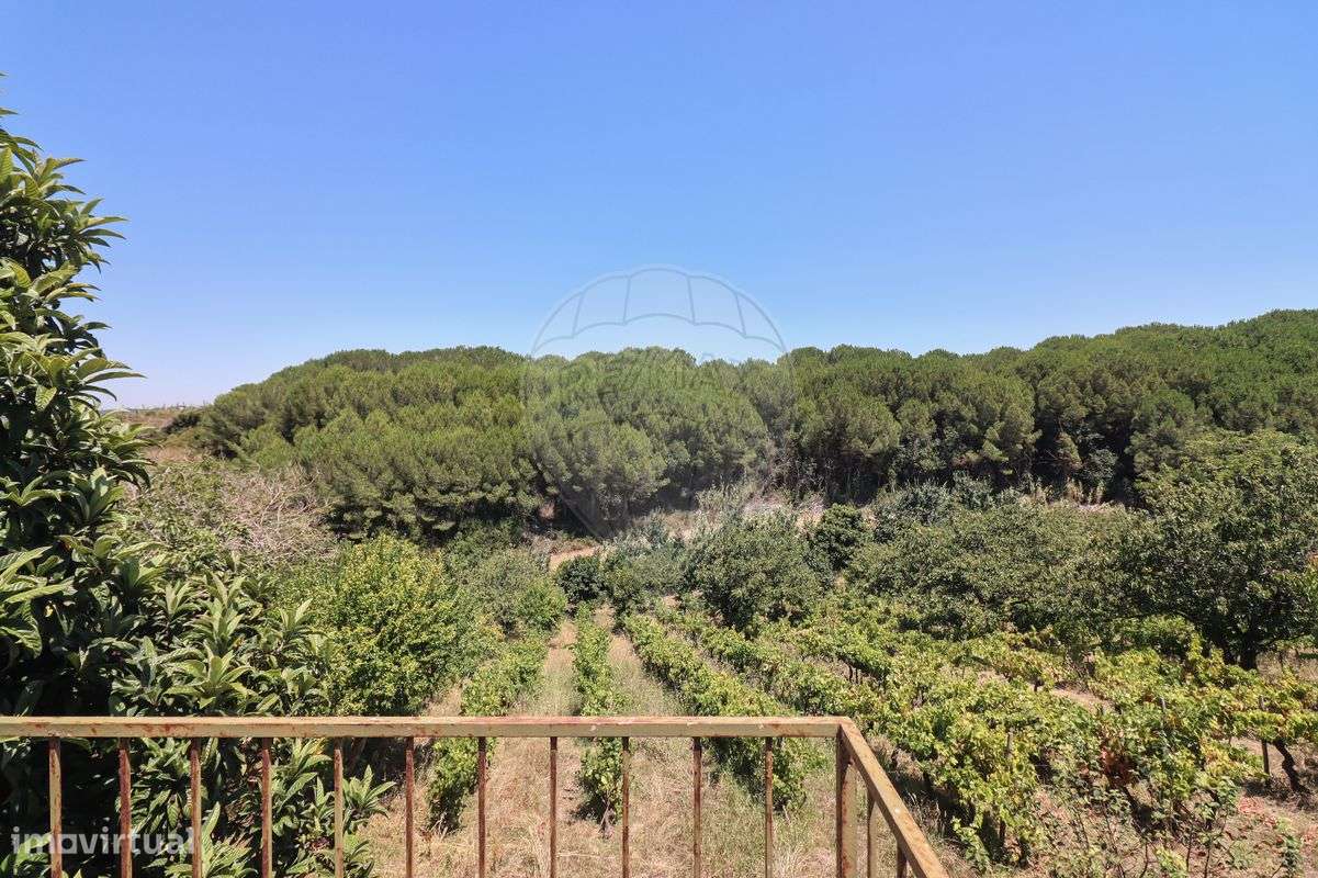 Quinta T3 para venda - Grande imagem: 3/50