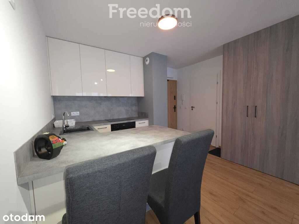 Do wynajęcia - Bulwary Oświęcim, przy Hiltonie. - Pełny obrazek: 5/12