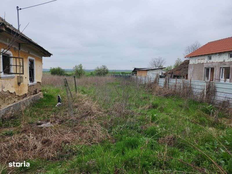 Casa + teren Rogova 7000mp - Imagine principală: 4/8