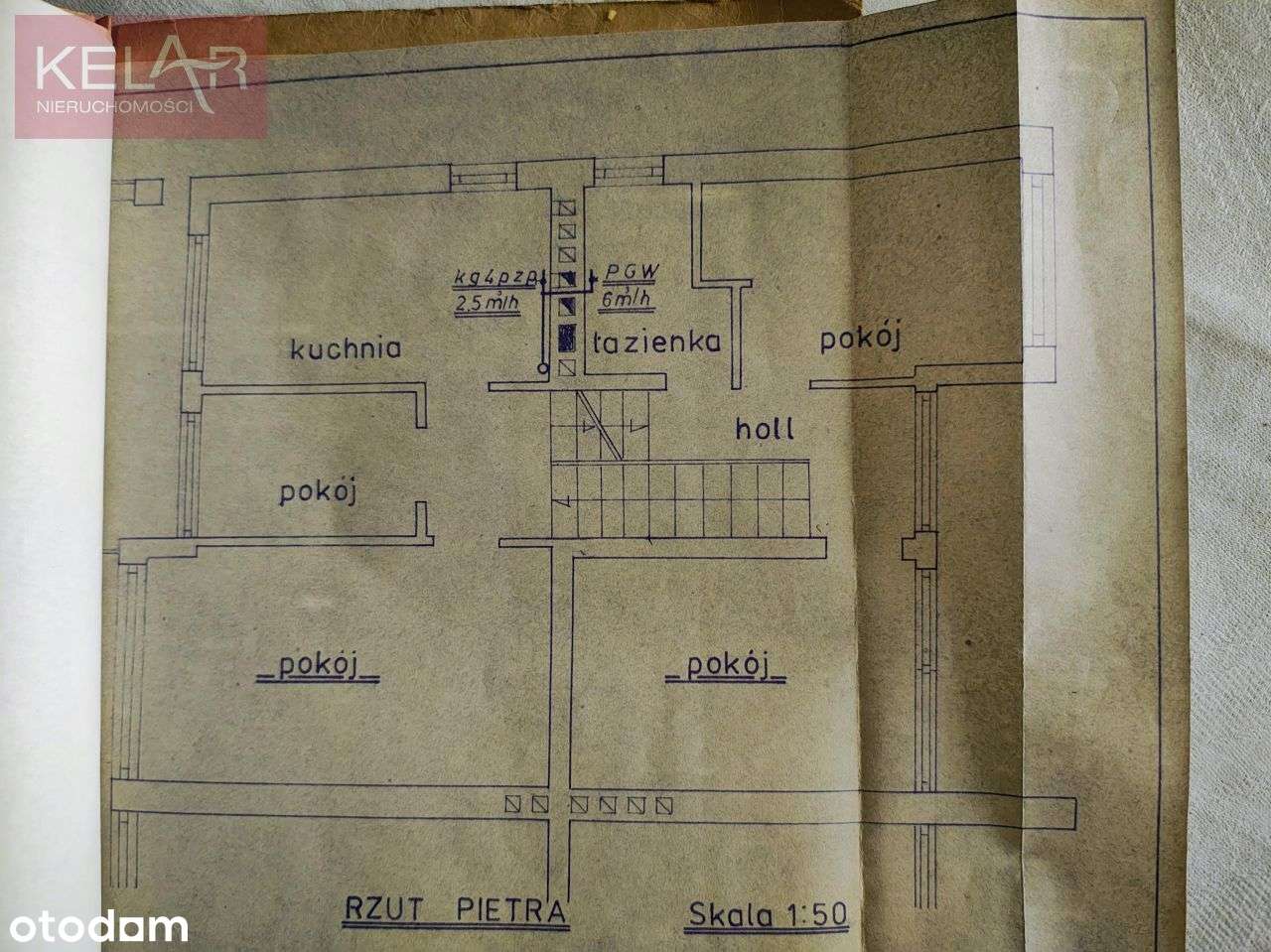 Zalesie ciche i zielone miejsce do życia - Pełny obrazek: 4/4
