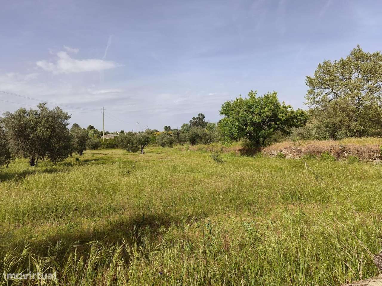Terreno rustico em castanheira de baixo Peraboa-9