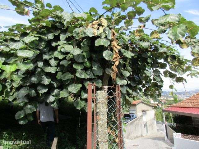 Quintinha em Roriz-14