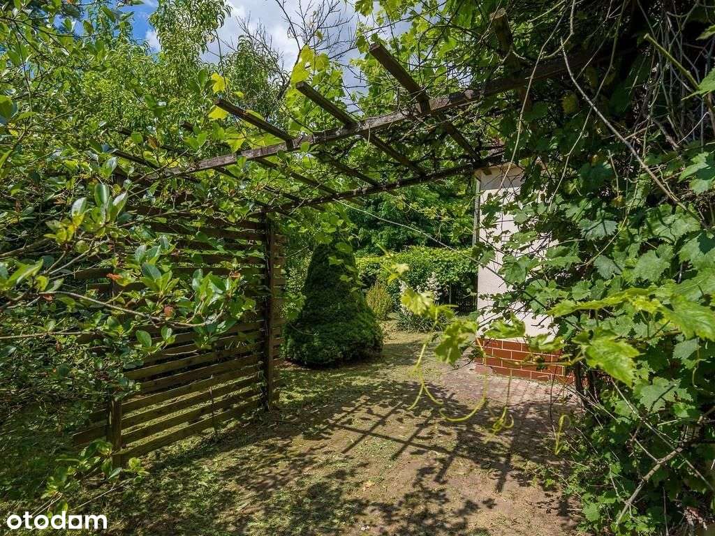 Duży metraż | Działka 52 ary | Piękna okolica-14