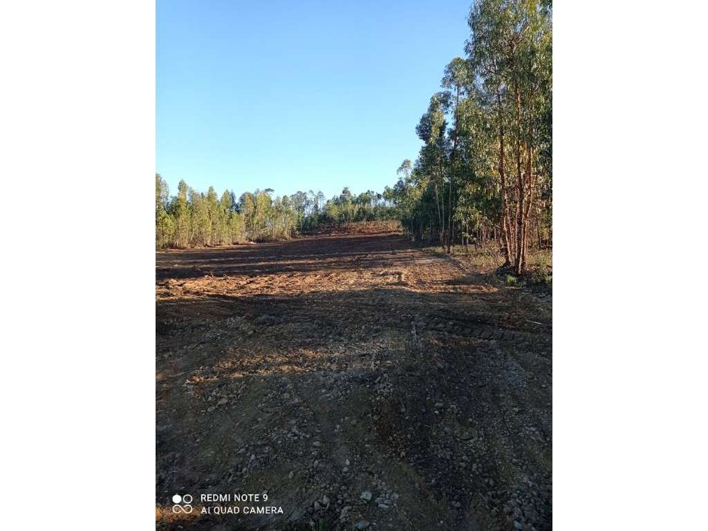 Terreno Rústico com 10.760 m² e Viabilidade de Construção de Moradi... - Grande imagem: 3/8