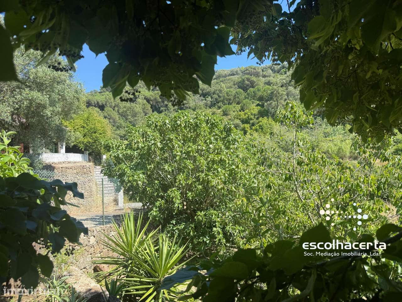 Quinta unica em pleno coração da Arrabida-42