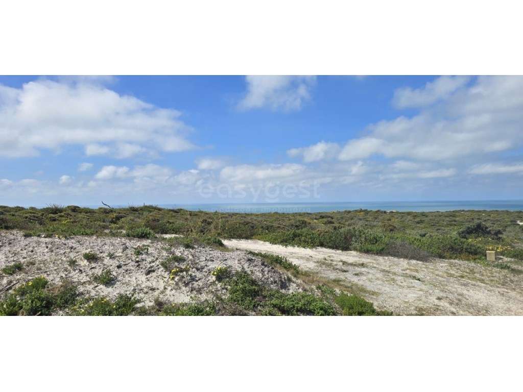 Terreno inserido em zona Florestal com vista - Grande imagem: 3/10