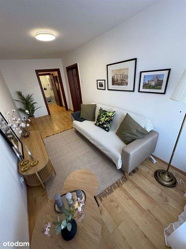 Gotowe Do Wprowadenia Przy Rynku !!! - Pełny obrazek: 2/9